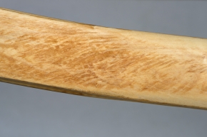 ZGK 3 (femur) 11-2023 9340